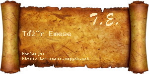 Tér Emese névjegykártya